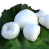 Paste filate fresche