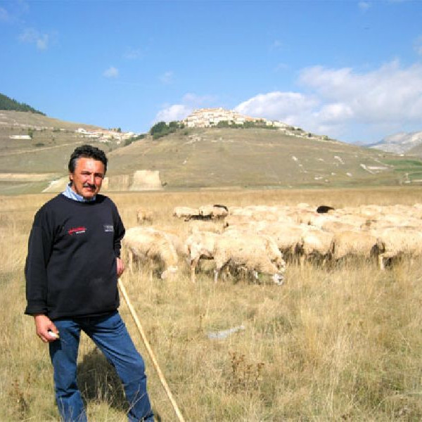 Azienda Agricola Barcaroli Sandra 1