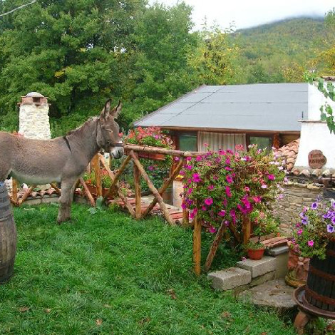 Agriturismo La Canestra di Giuseppe Commentucci