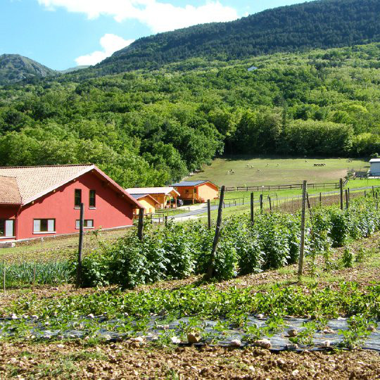 Società Agricola Antica Forconia