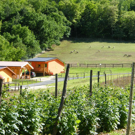 Società Agricola Antica Forconia 2