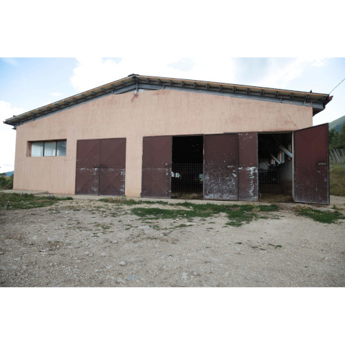 Azienda Agricola De Carolis