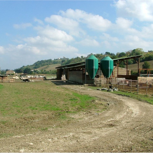 Azienda Agricola Scibè Doriano 1