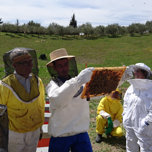 Cooperativa Apicoltori Montani