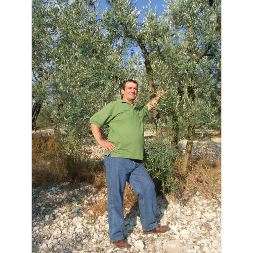 Frantoio Bonifazi 1