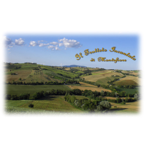 Il frutteto incantato di Montefiore