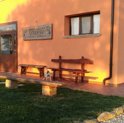 Il Lorese Azienda Agricola 1