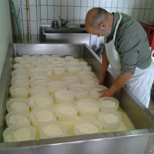 Le Terre di Quarantotti