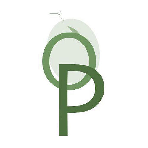 Oleificio Piccinini 0