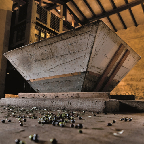 Azienda Agricola Biologica Antonio Bachetoni