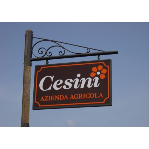 Azienda Agricola Cesini Pierino 1