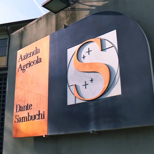 Le Pietraie di Sambuchi Dante 1