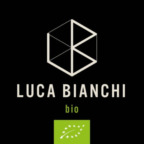 Luca Bianchi 0