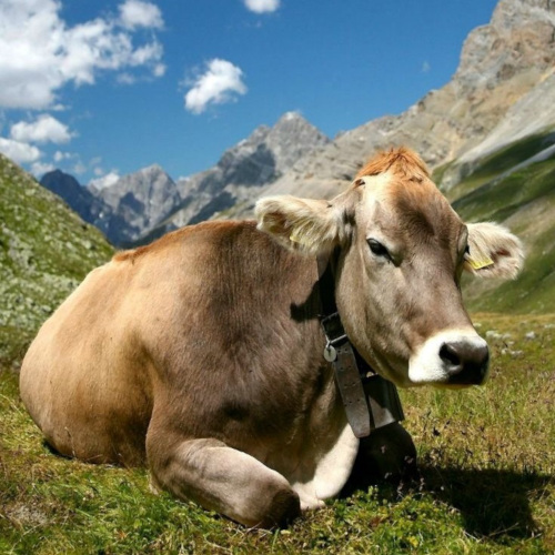 Società Agricola Fabrizi