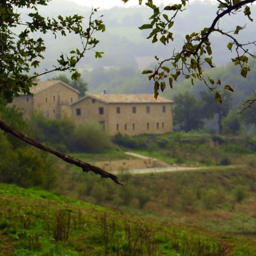 Azienda Agricola Terre della Sibilla