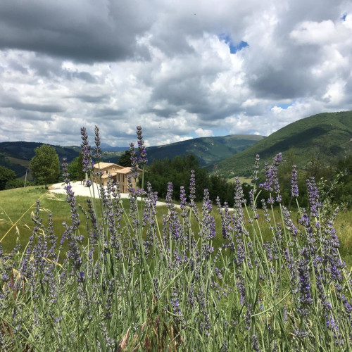 Agriturismo Fonte Rosa