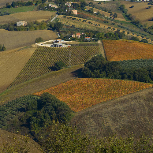 Azienda Agraria La Calcinara 1
