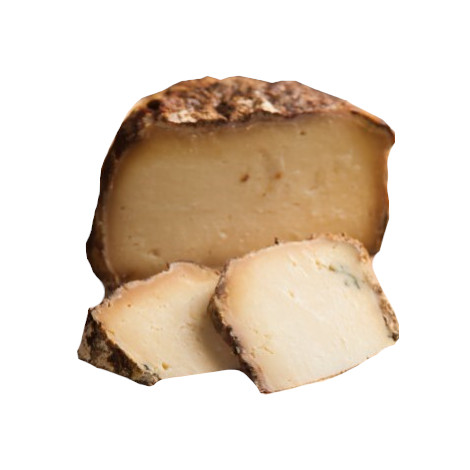 Pit-aged pecorino cheese
