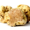 White truffle