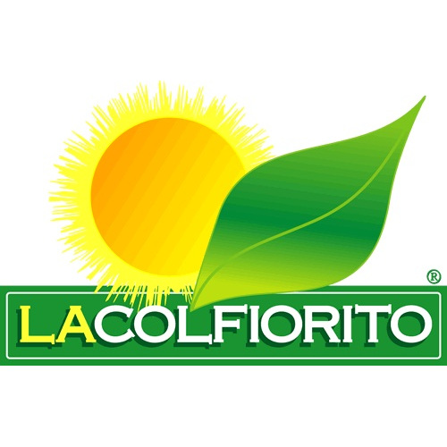 La Colfiorito