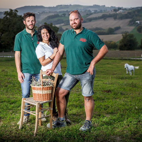 Fattoria Scagnetti