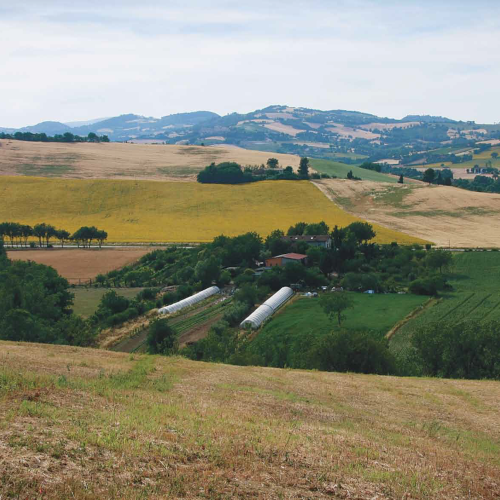 Valentino Prodotti Biologici 1