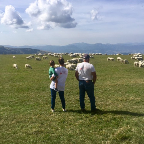 Società agricola zootecnica Lai