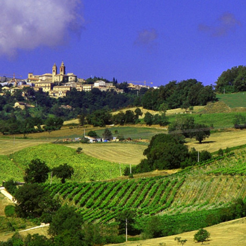 Terre di San Ginesio 1