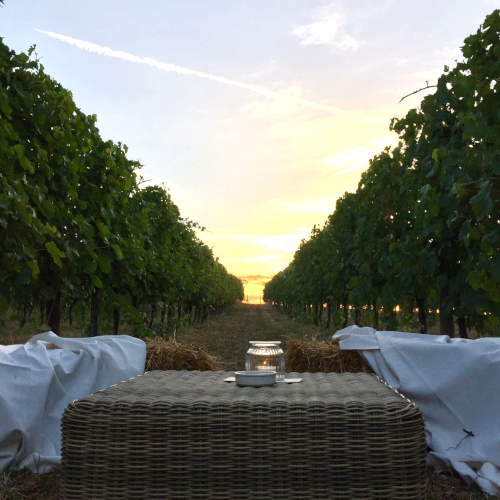 Tenuta Colpaola 2