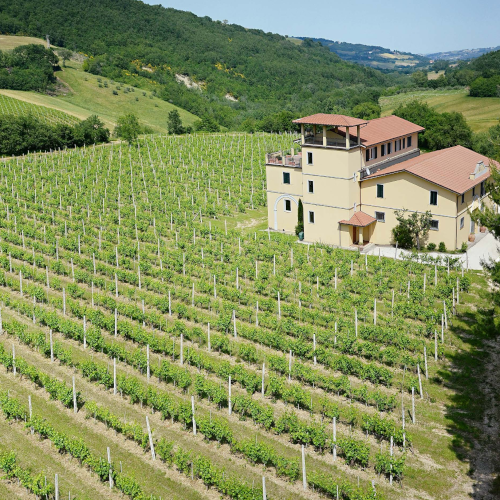 Cantina Quacquarini 2
