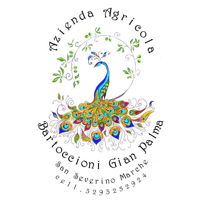 Azienda Agricola Bartoccioni Gian Palma 0