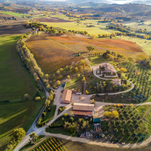 Tenuta Tavignano 2