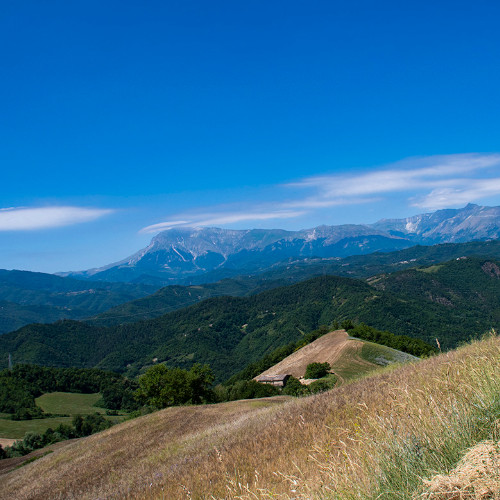 Terre Alte Picene 2