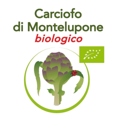 Carciofo di Montelupone 0