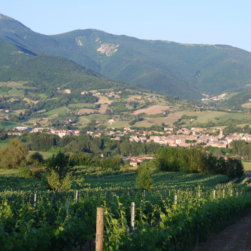 Azienda Agricola Gatti Marco 1
