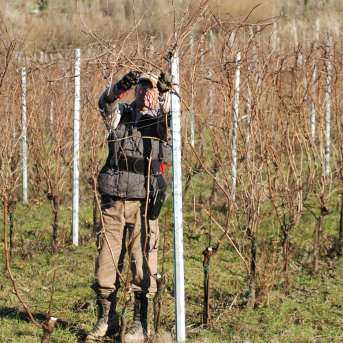 Azienda Agricola Gatti Marco 2