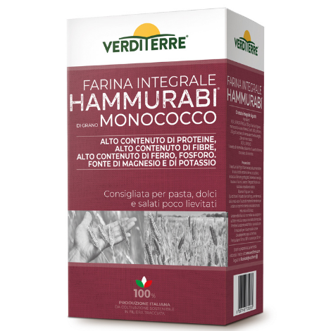 Farina integrale Hammurabi di grano Monococco – 750g
